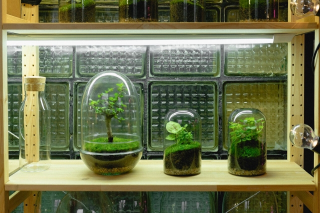 How to Build a Calming Container Garden at Home
